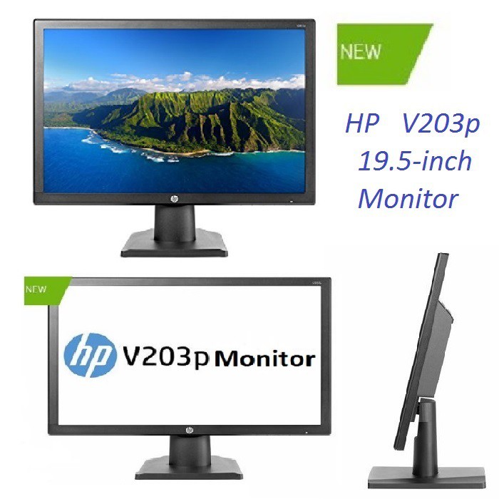 hp v203p monitor price