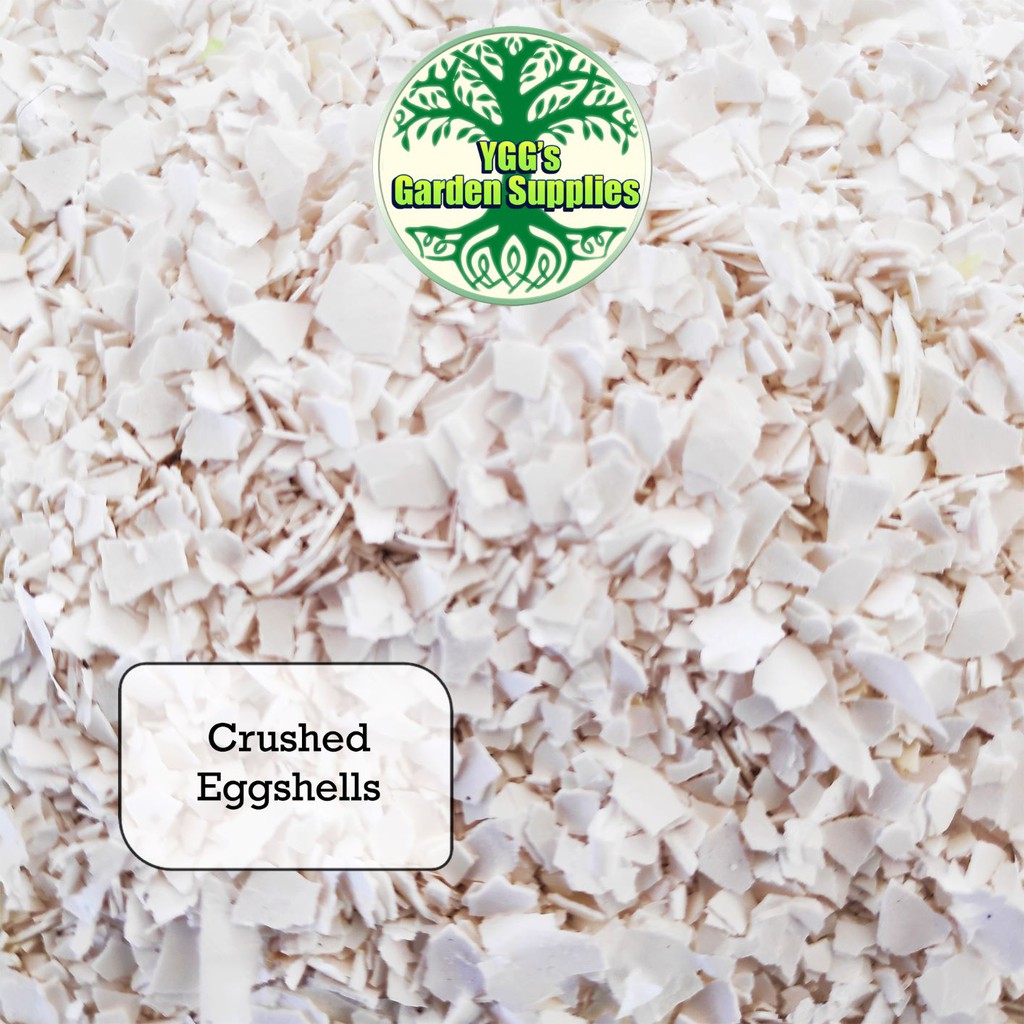 Crushed Eggshells / Calcium Carbonate 100 & 250 grams Shopee Philippines