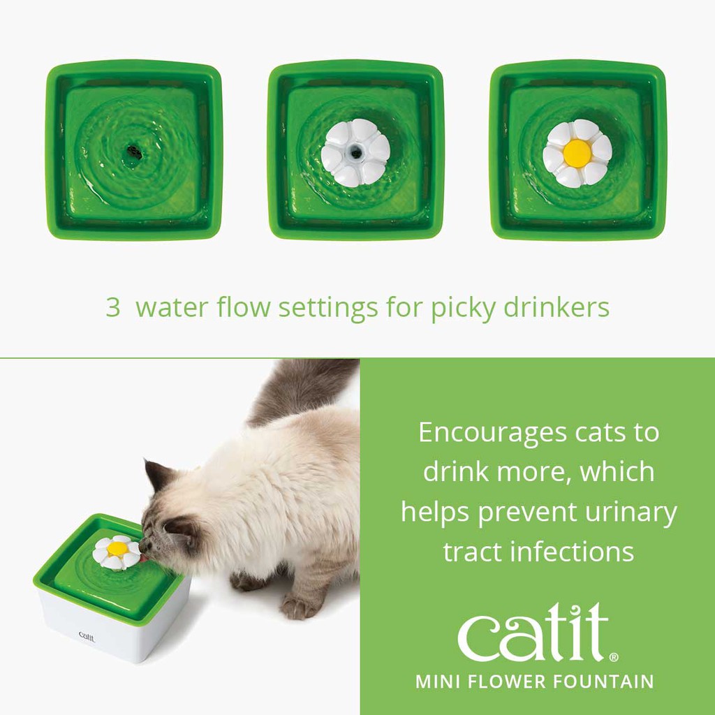 Flower cat water outlet drinking fountain