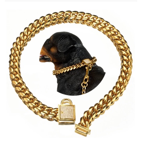 Pitbull hotsell collars gold