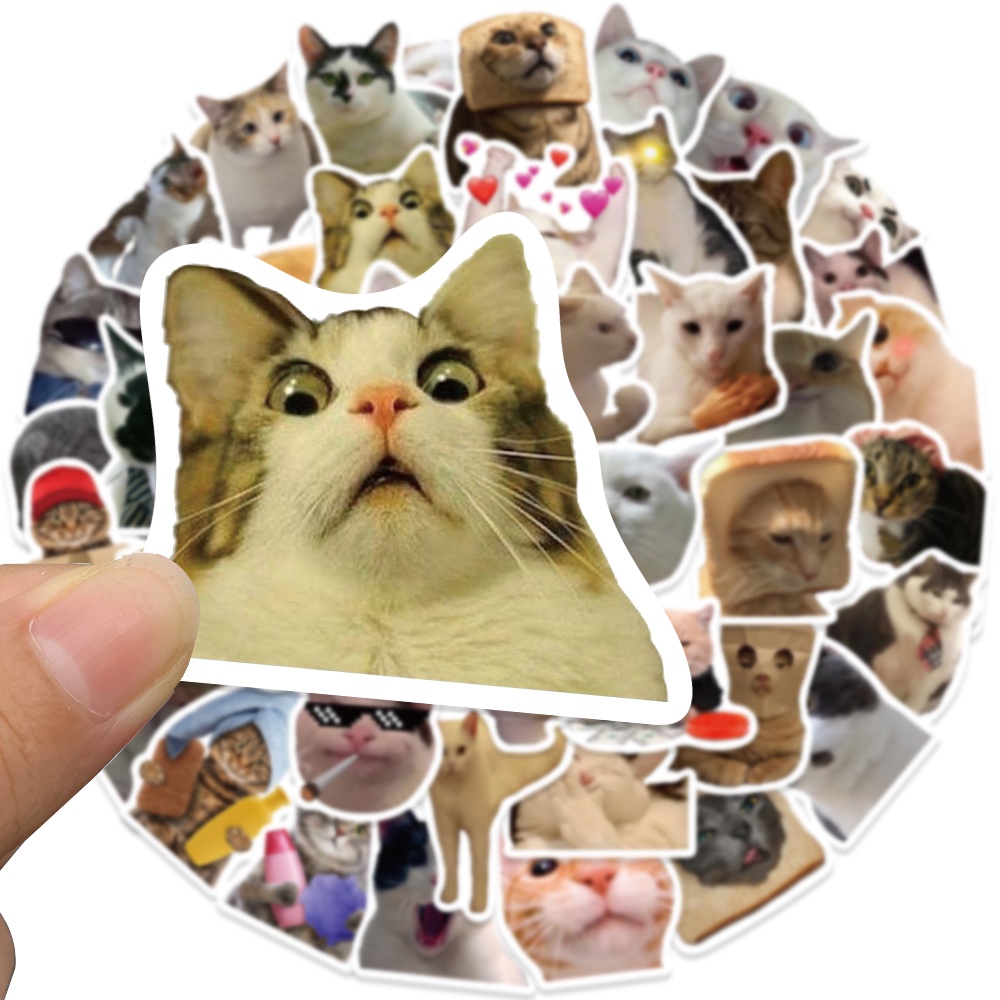 50 PCS cute kitten expression pack stickers sand sculpture funny cat ...