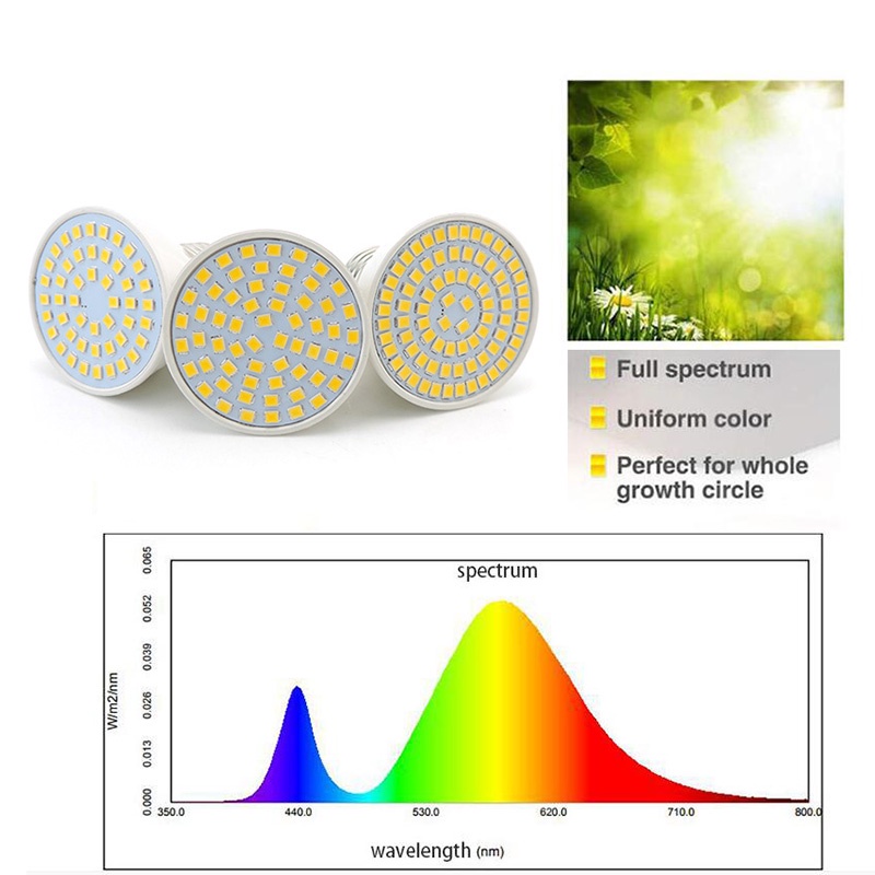 Indoor Full Spectrum 48 60 80 Led Plant Grow Light Bulbs E27 Phytolamp ...