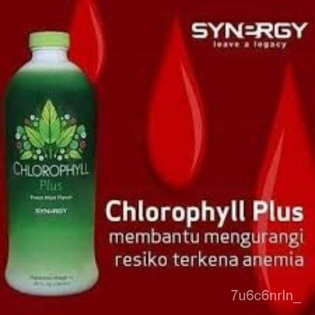 SYNERGY CHLOROPHYLLIN PLUS Chlorophyll 25oz (730ML) Expired 07/2023