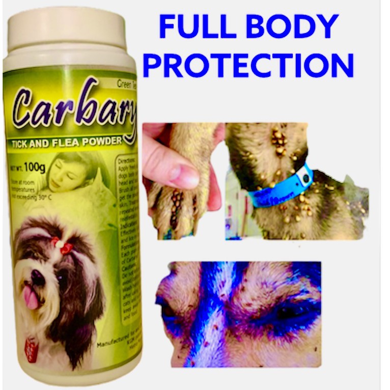 CARBARYL ANTI TICK AND FLEA KILLER SMELLY ODOR REMOVER POWDER LONG LASTING SCENT ANTI GARAPATA
