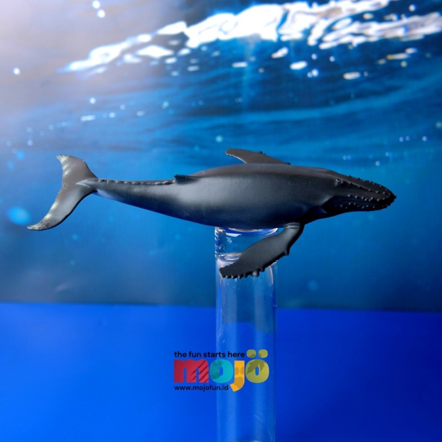 Mojo Fun Humpback Whale / Humpback Whale – Sealife Collection | Shopee ...