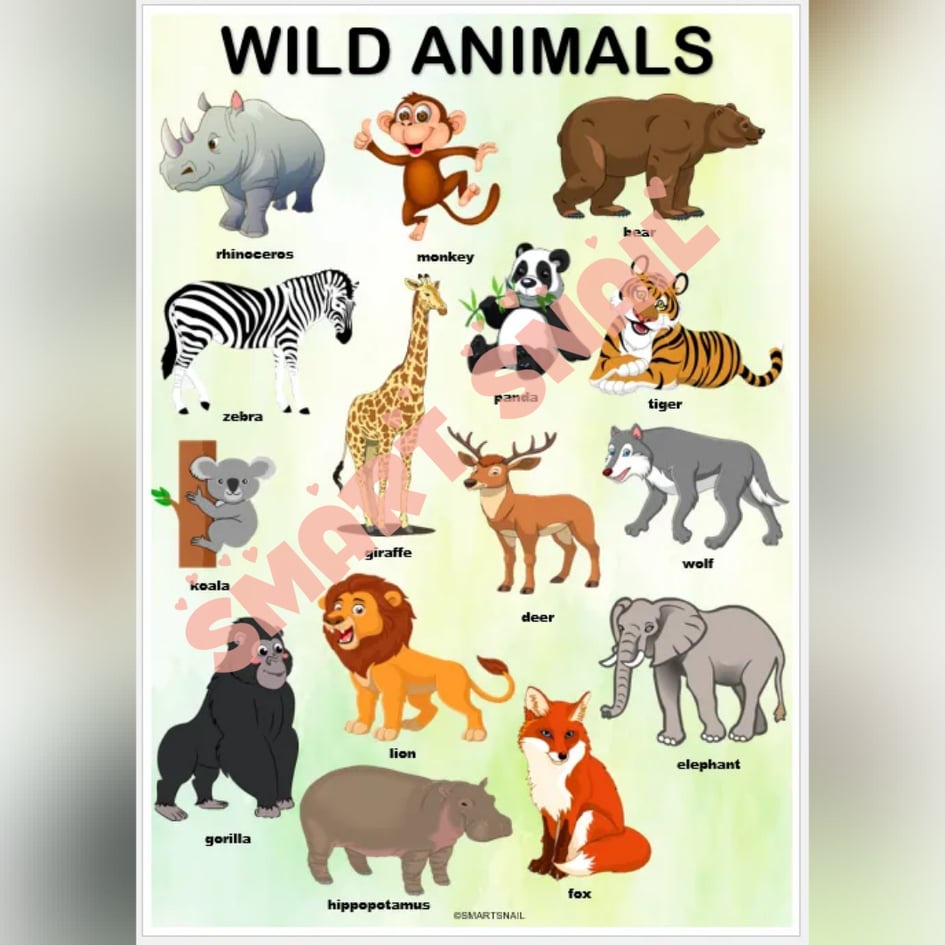 Laminated Educational Wall Charts for Kids | Shopee Philippines