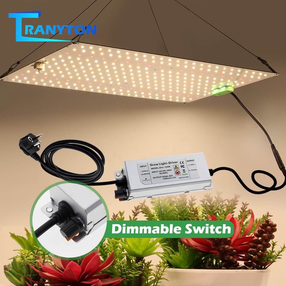 LED Grow Light full spectrum 1000W 2000W LM281B LED Sunlike Quantum ...