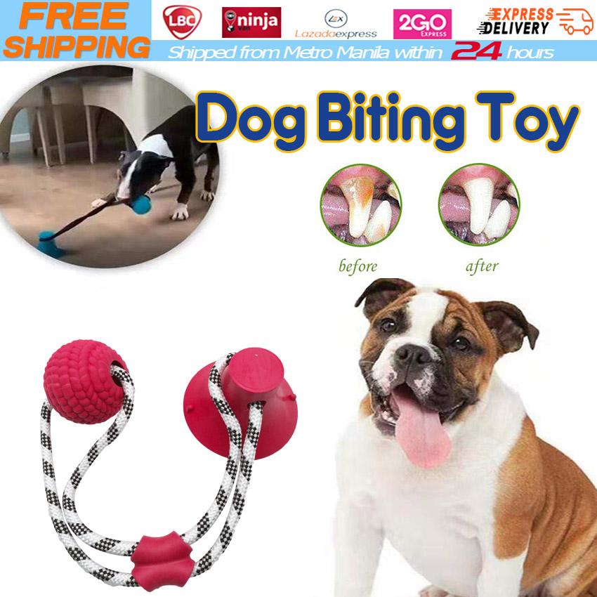 Shih tzu toys sales