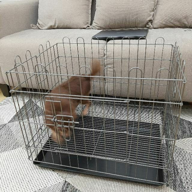 Dog Crib Playpen Small Dog Cage Collapsible Puppy Whelping Shopee
