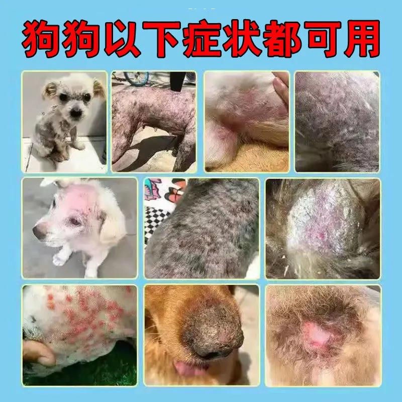 Dog Skin Disease Dedicated Medicine Fungus Mites Nose Loss Hair Rash