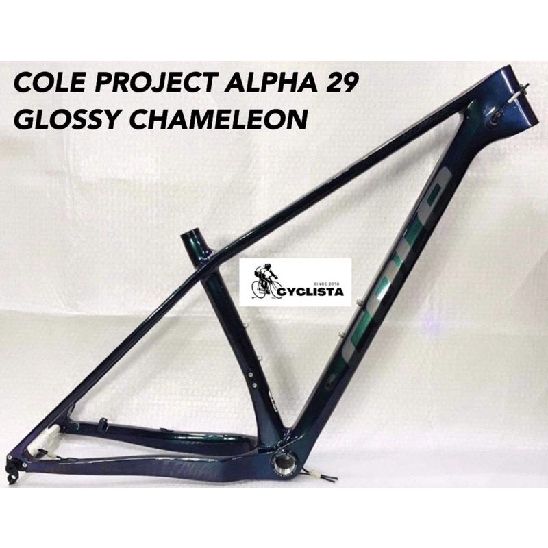 COLE PROJECT ALPHA 29 Carbon Frame | Shopee Philippines