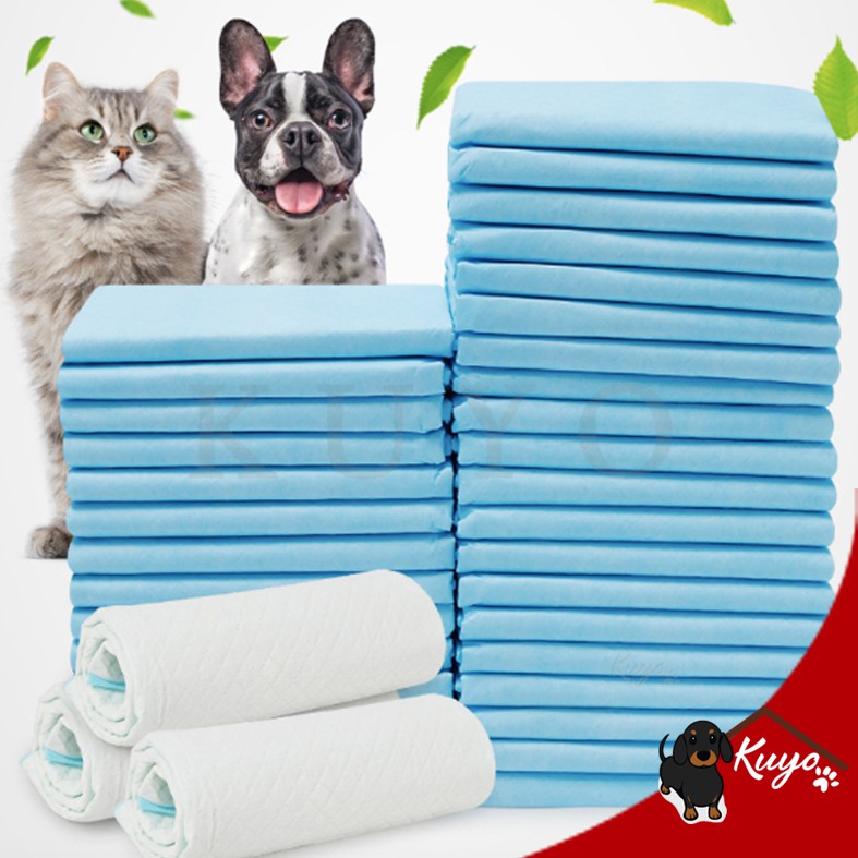 Cat peeing s dog fashion pee pads