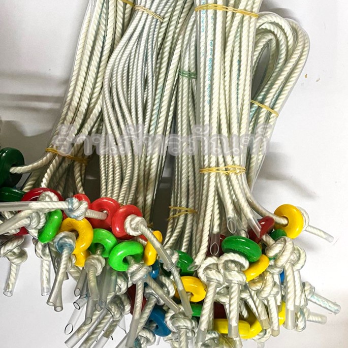 Wing Cow Nose Rope Win Pine 3 Sizes Sold In Assorted Colors. | Shopee ...