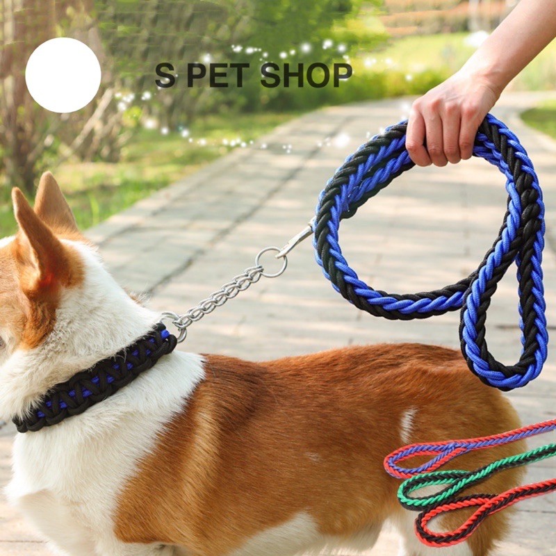 Big hotsell dog leash