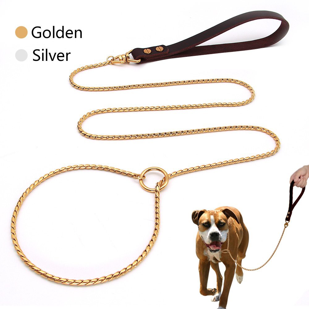 Stainless deals dog chain