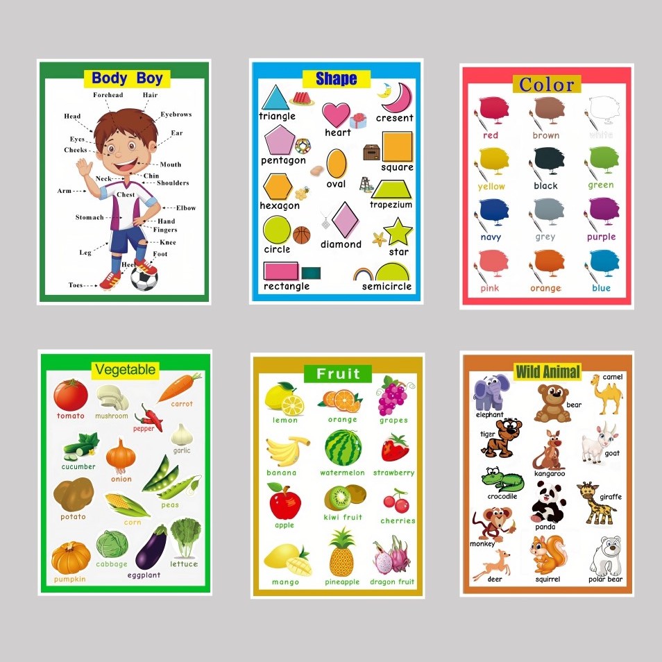 Educational Charts for Kids (Laminated, A4) | Shopee Philippines