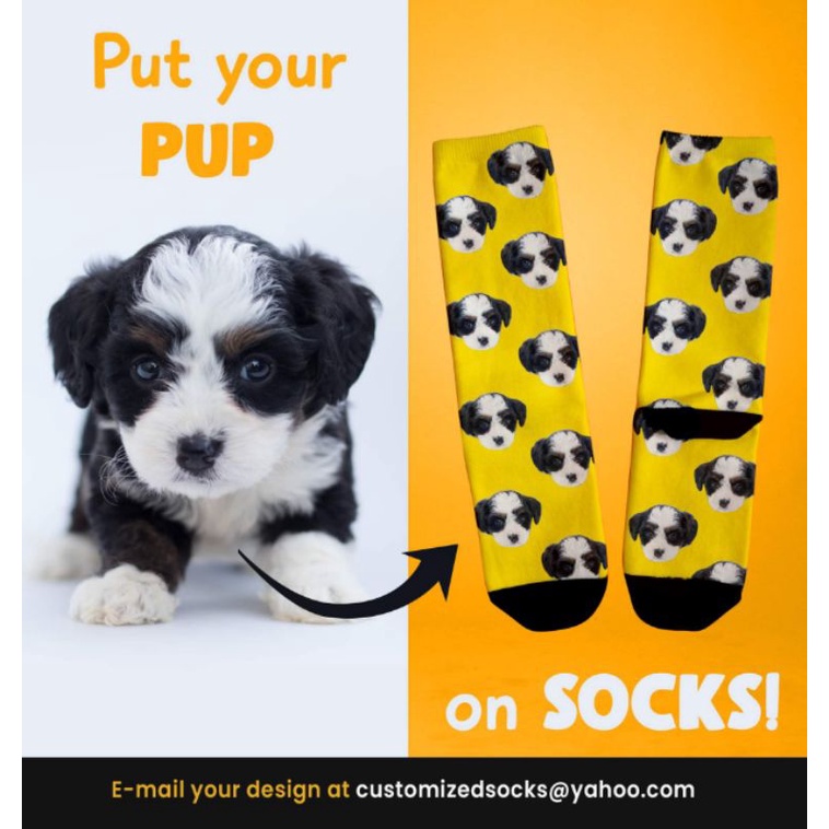 Put a picture of your dog on socks hotsell