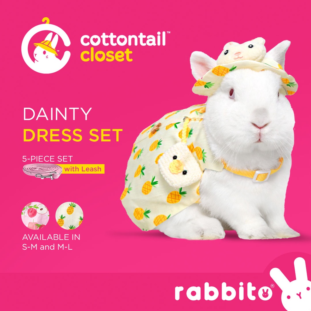 Cottontail Closet DAINTY DRESS SET Cute Harness and Costume Clothes for ...