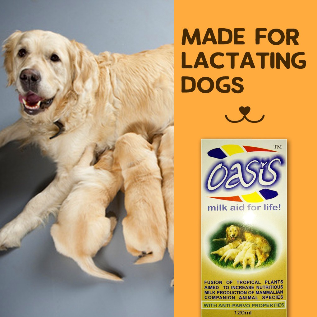 Oasis Milk Aid Dog Vitamins with Anti Parvo Properties 120mL Shopee Philippines