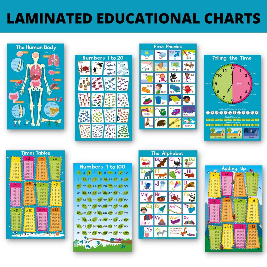Laminated Alphabet, First Phonics, First Words, Adding Up, Human Body ...