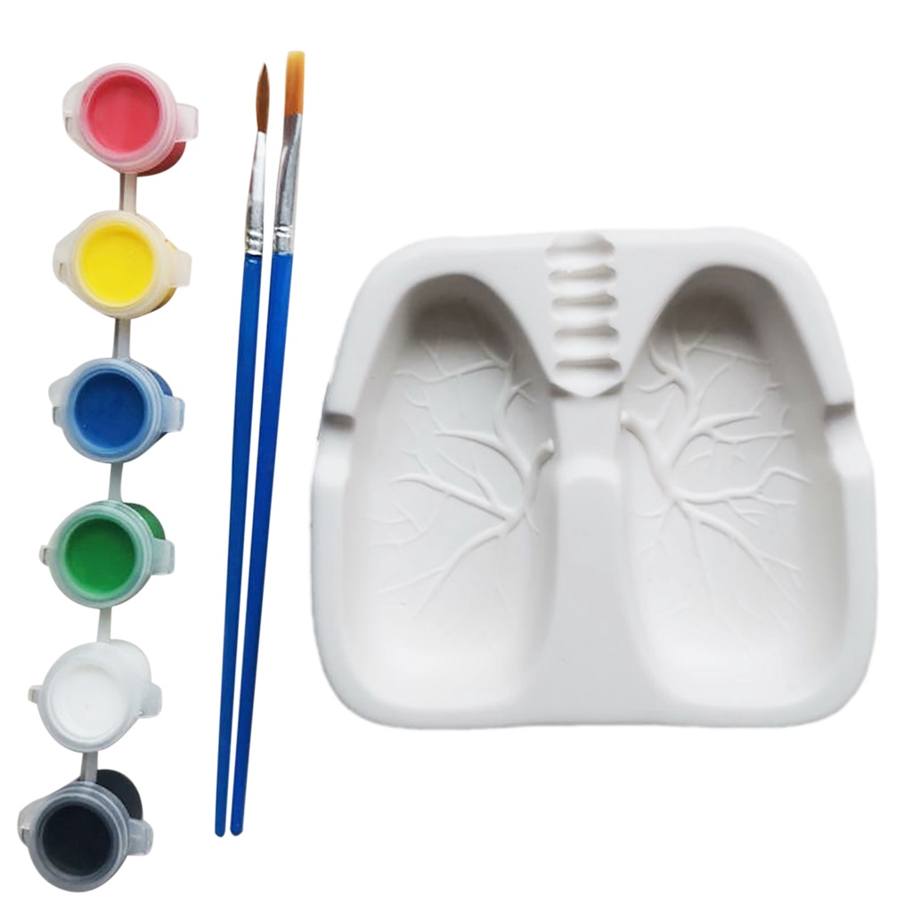 Lung Shaped Ash Tray Quit Smoking Ash Trays Funny Ceramic Ashtray