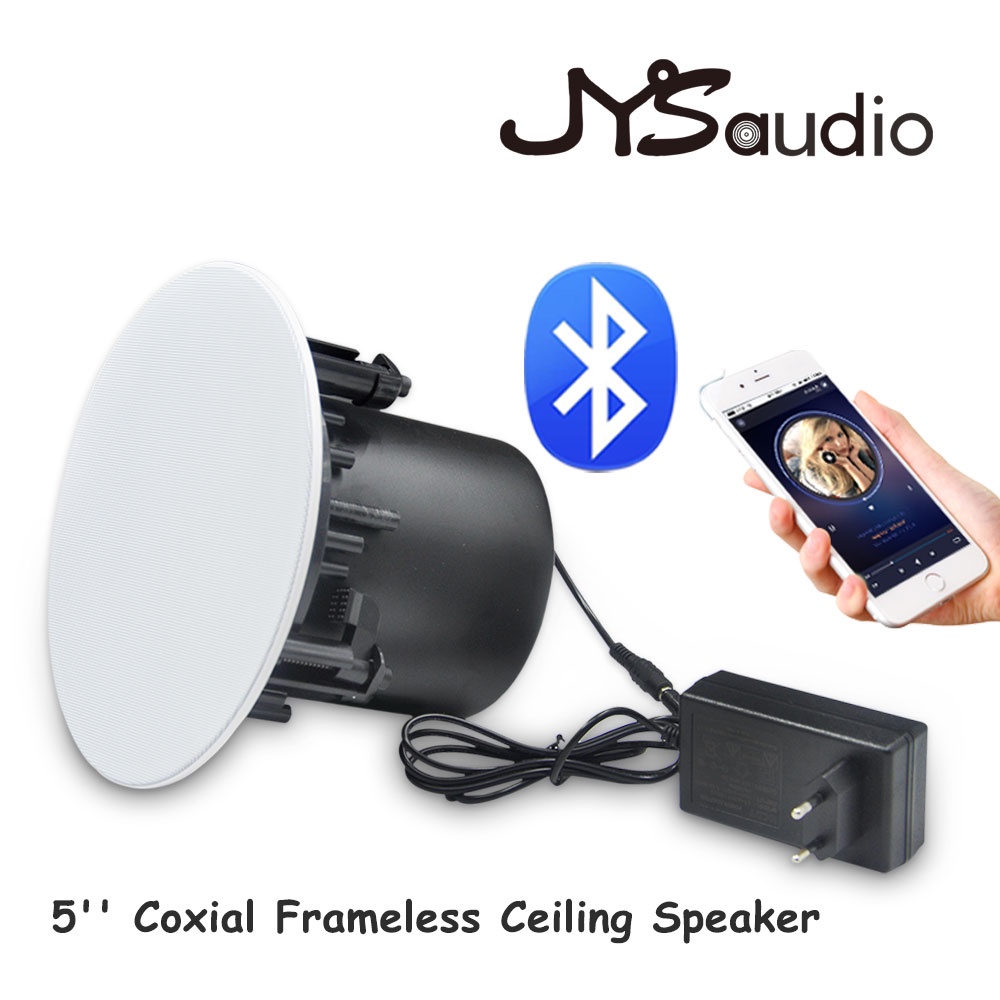 5 Inch In Wall Mount Roof Speaker Active Ceiling