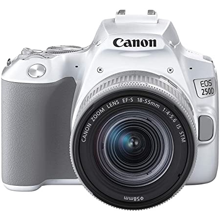 canon 250d body price