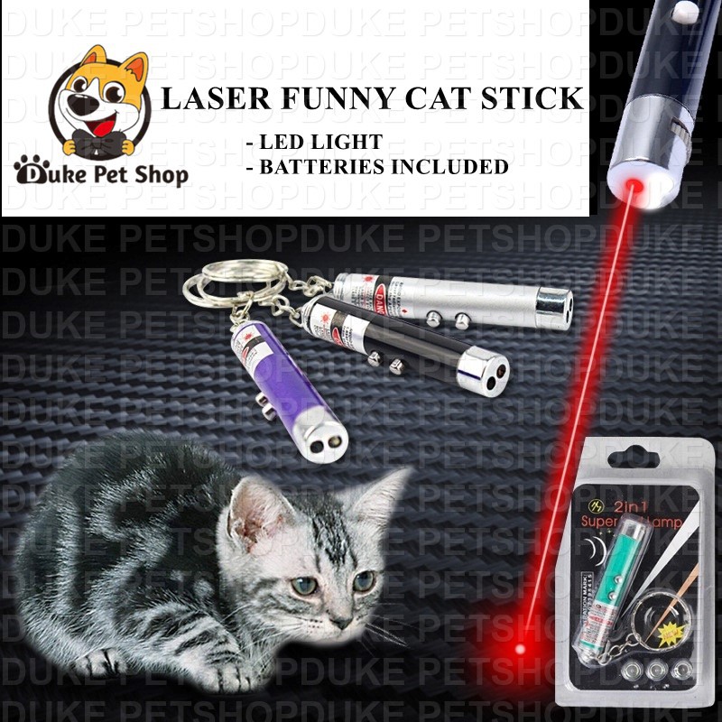 Laser Pointer Teardown My Cats)