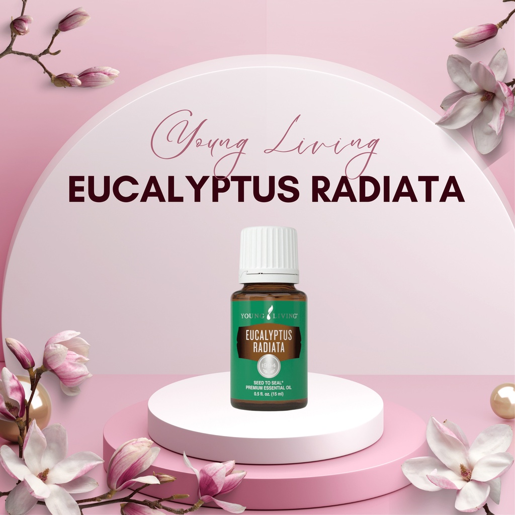Authentic Young Living Eucalyptus Radiata 100 Pure Essential Oil
