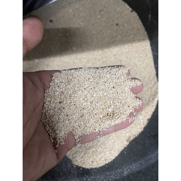 Beige Sand For Aquarium (Crushed Corals) Shopee Philippines