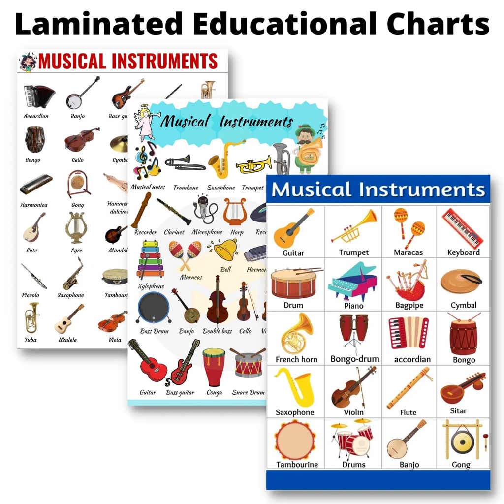 Laminated Instruments Charts for Kids, Learners and Students ...