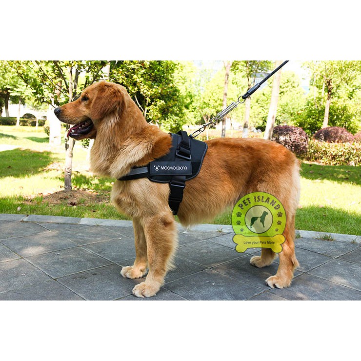 Dog harness shopee best sale