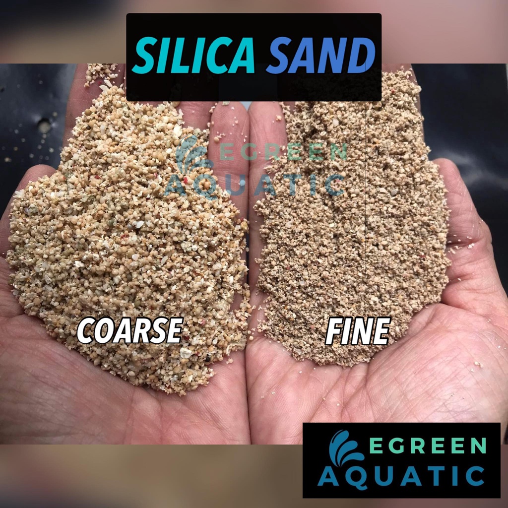 Silica Sand 1kilo Aquarium Fine Lava White Sand Shopee Philippines