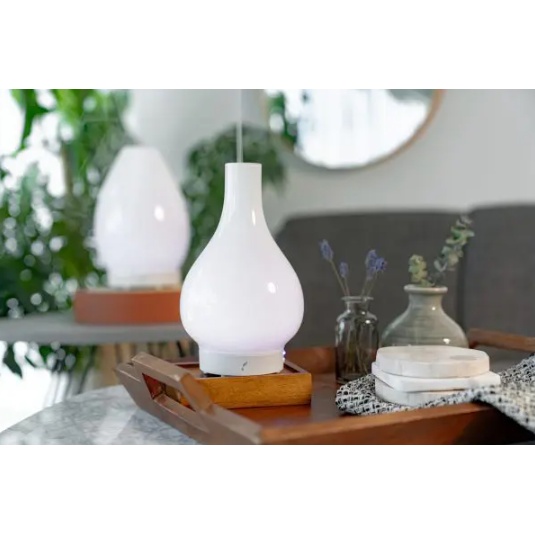 Lucia Artisan hotsell Diffuser