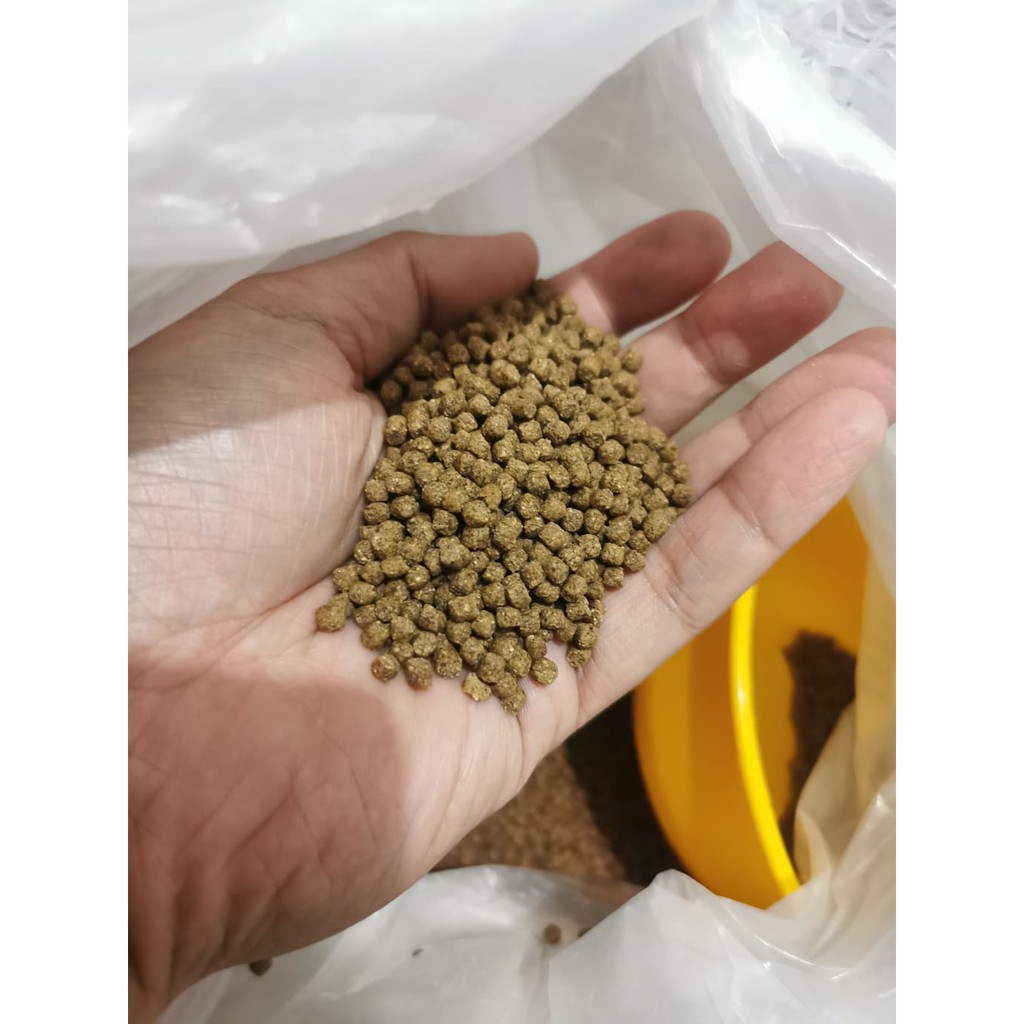 Tateh Aquafeeds 500 grams Surfer Grower Tilapia Catfish Milkfish Koi ...