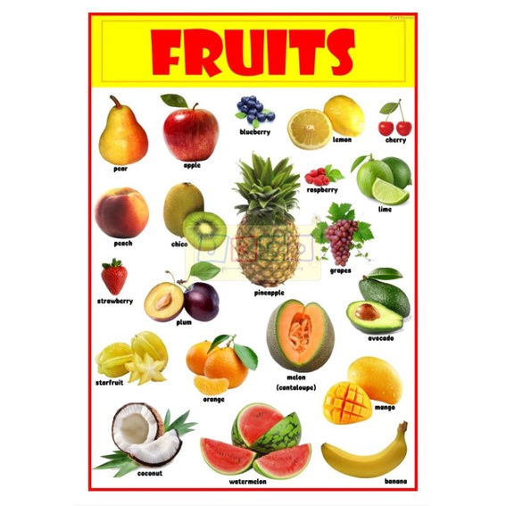 Fruits &amp; Vegetables Educational Chart for kids A4 Size Laminated ...