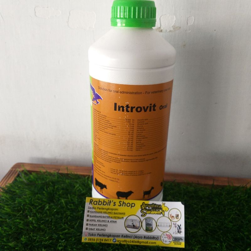 Introvit Oral 1 liter Multivitamin And amino Acids Goat, Cow, Chicken ...