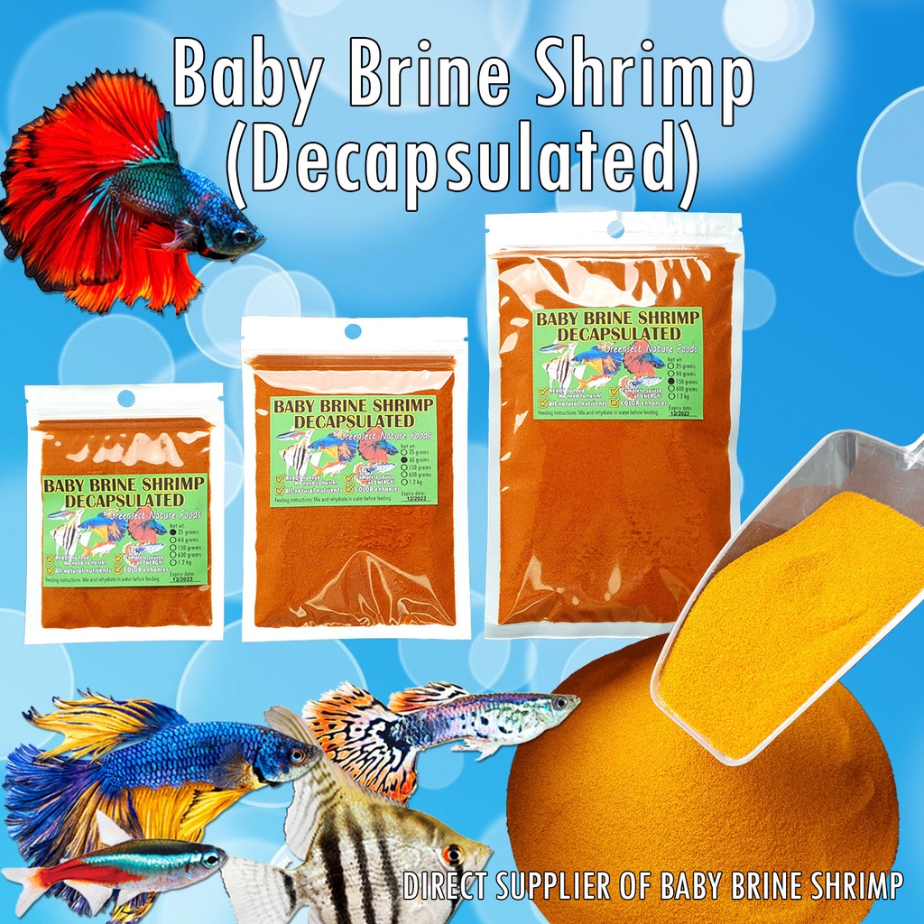 BABY BRINE SHRIMP DIRECT SUPPLIER Decapsulated 25 150g fish food for small fish Greensect Shopee Philippines