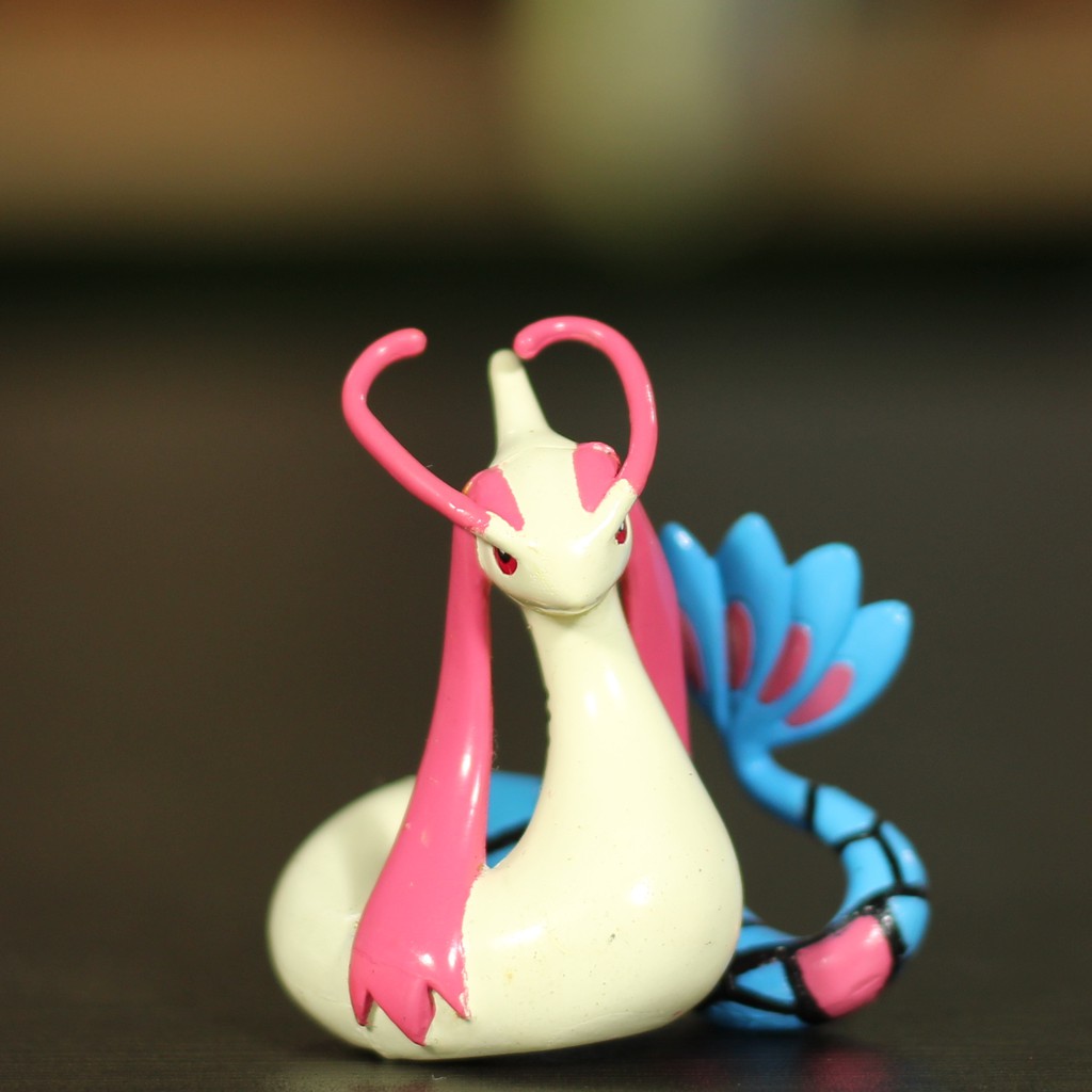 Pokemon Milotic Tommy