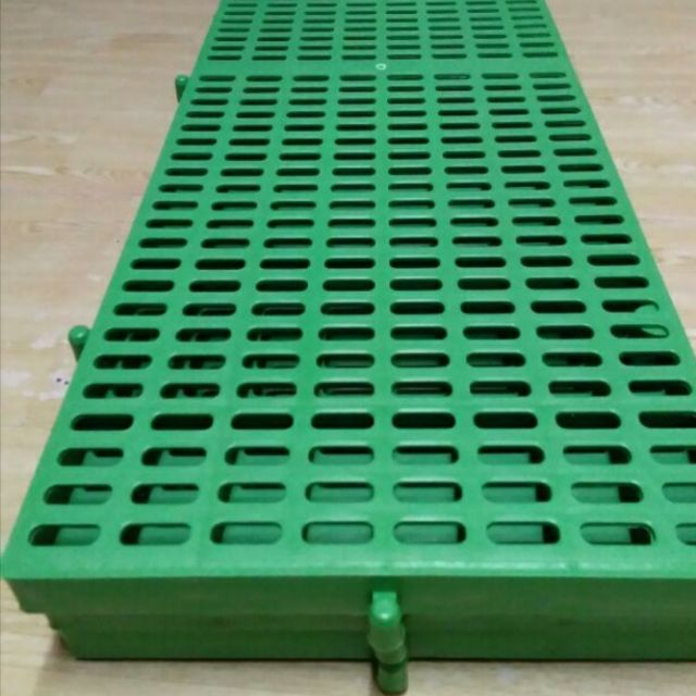 Dog store plastic matting