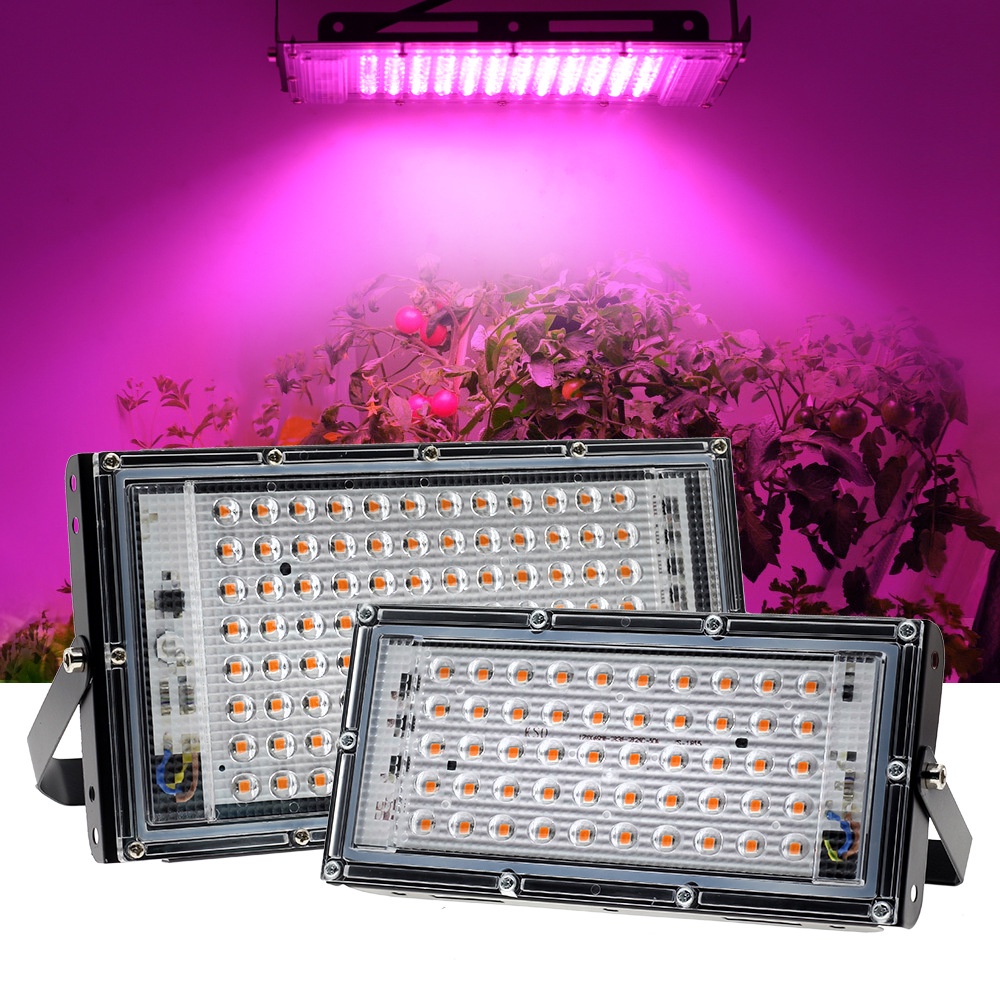 Full Spectrum LED Grow Light Phyto Lamp AC220V 50W 100W 200W For ...