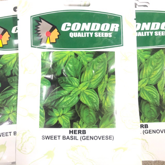 SWEET BASIL GENOVESE HERB SEEDS PACK SIZE ASSORTED VARIETY