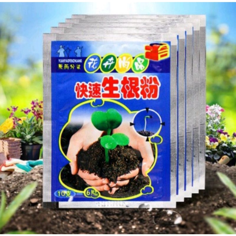 1Pcs Fast Plant Tree Flower Rooting Powder Quick Growth Transplant ...