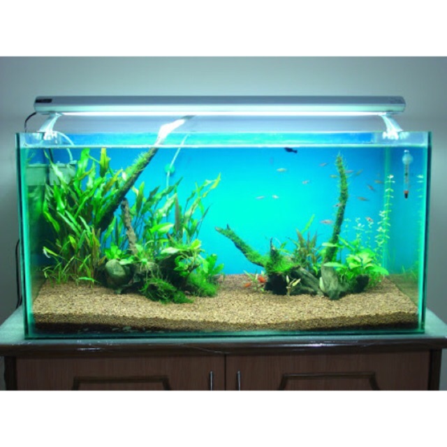 50 gal gallons aquarium fish tank with dual stand / accessories & decors  rocks design notIncluded