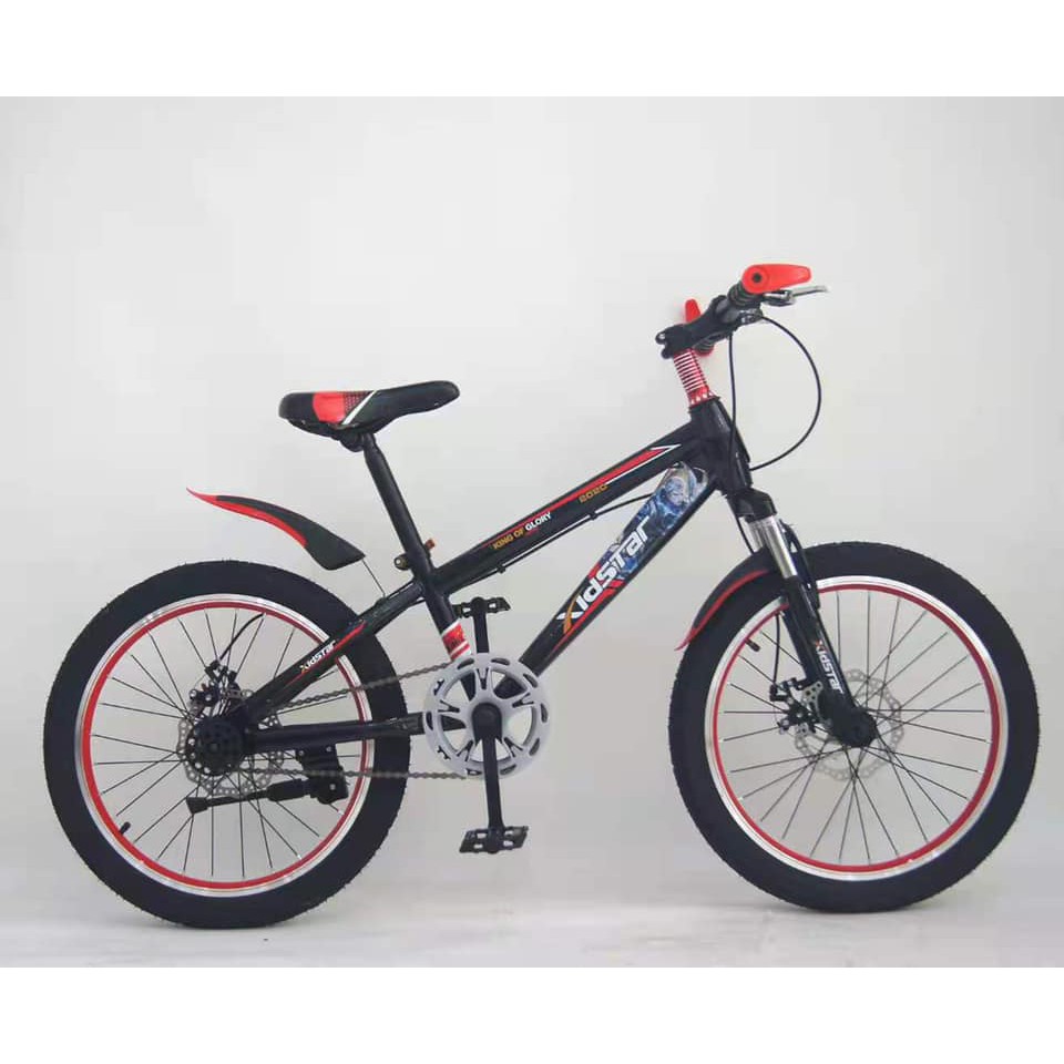 Heavy duty mountain bike on sale