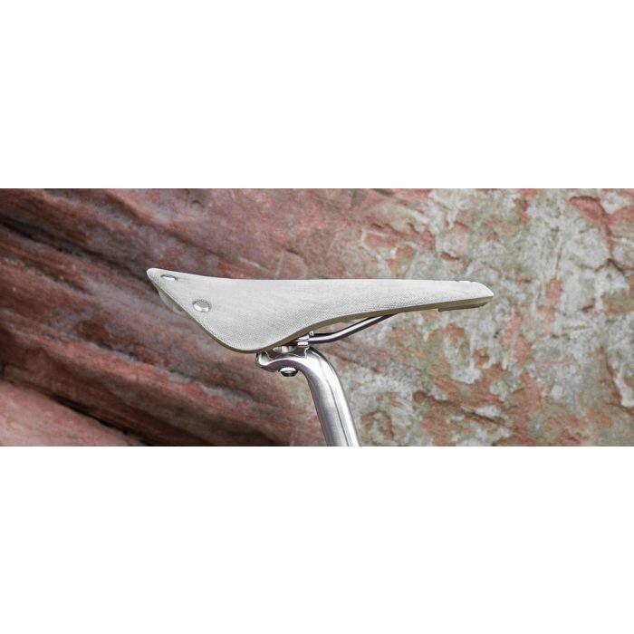 brooks cambium c17 organic light