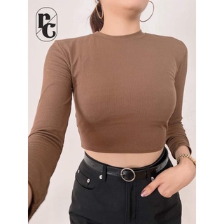 Amethyst Round Neck Knit Long Sleeves Crop Top