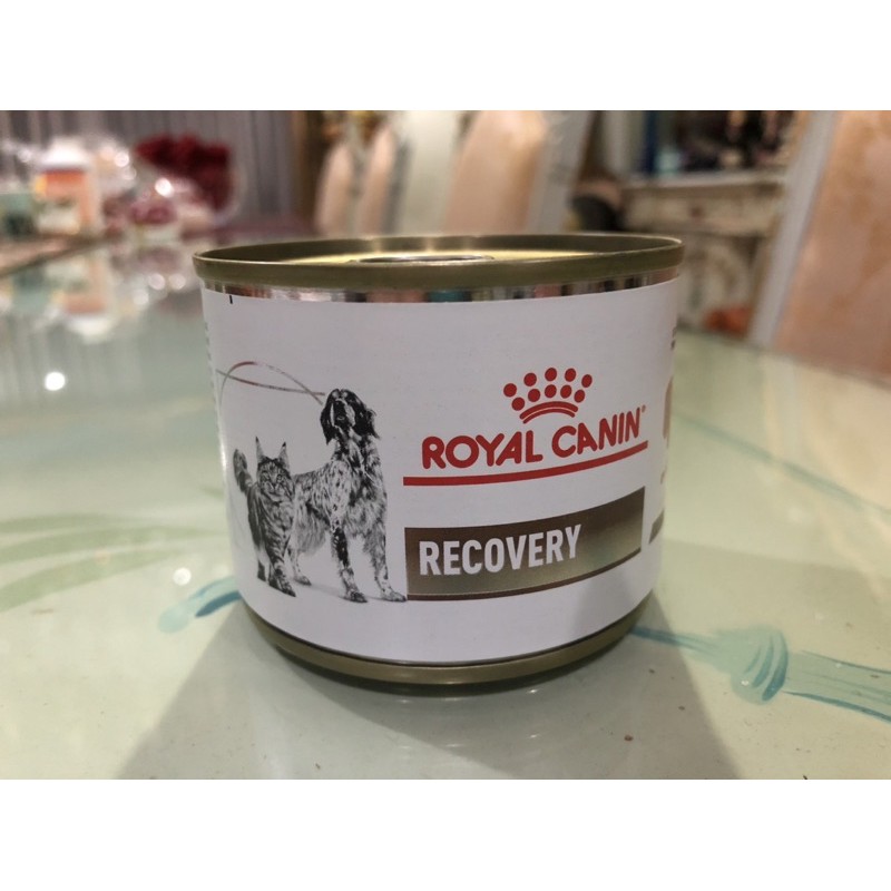 Royal Canin Recovery Food - cats / dogs