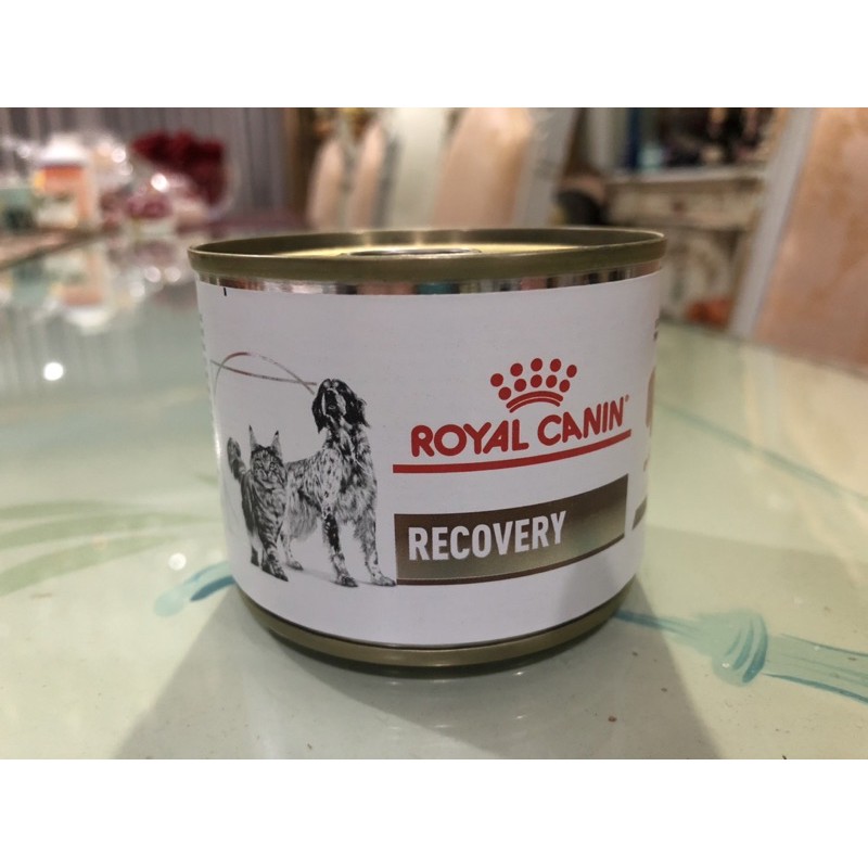 Royal canin recovery store food for cats