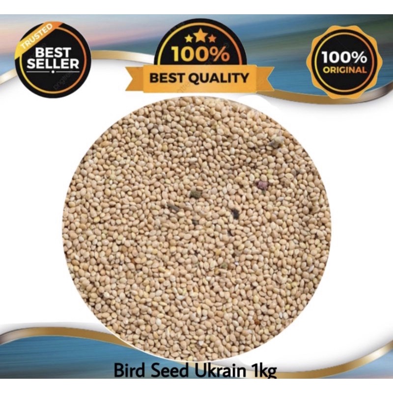 Bird Seed 1kilo (Premium White Millet) Shopee Philippines